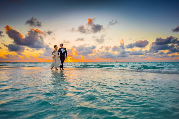 stress free way to plan your wedding online